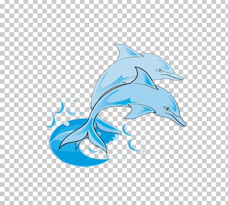 Bottlenose Dolphin PNG, Clipart, Animals, Aqua, Azure, Blue, Blue Free PNG Download