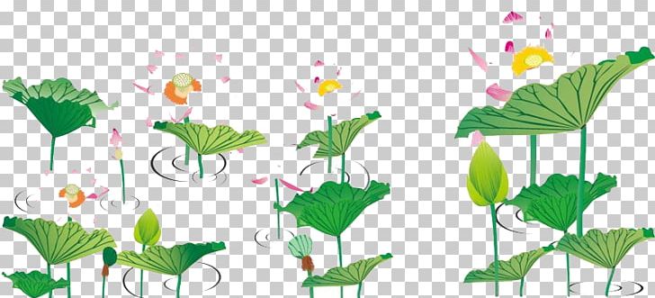 Green PNG, Clipart, Background Green, Branch, Color, Coreldraw, Creative Free PNG Download
