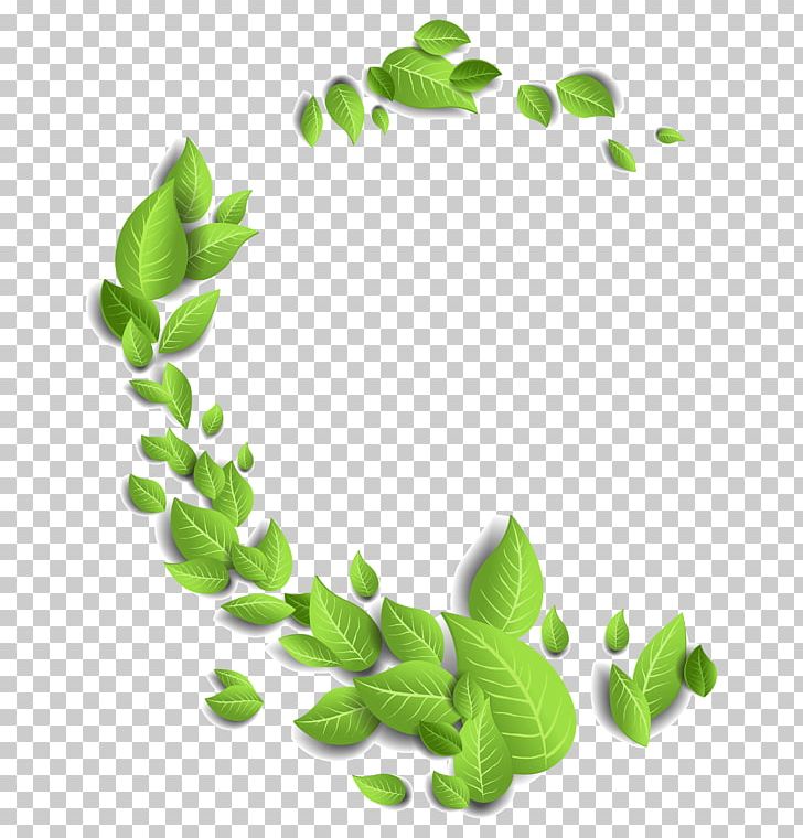 Leaf PNG, Clipart, Branch, Encapsulated Postscript, Fall Leaves, Floating, Floating Material Free PNG Download
