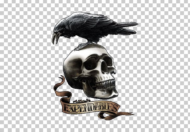 The Expendables Logo Hd