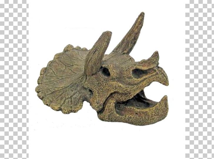 Triceratops Dewerse Tyrannosaurus Skull Dinosaur PNG, Clipart, Boat, Dewerse, Dinosaur, Fantasy, France Free PNG Download