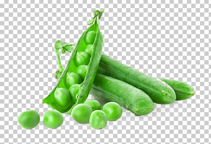 Pea Vegetarian Cuisine Vegetable Food PNG, Clipart, Broccoli, Cabbage, Calabash, Capsicum, Cauliflower Free PNG Download