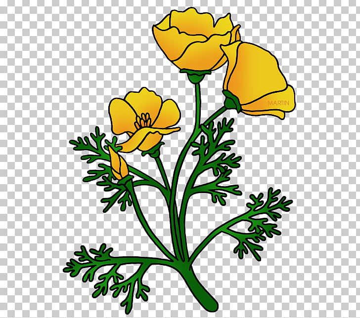 California Poppy Remembrance Poppy PNG, Clipart, Armistice Day, Art By, Artwork, California, California Poppy Free PNG Download