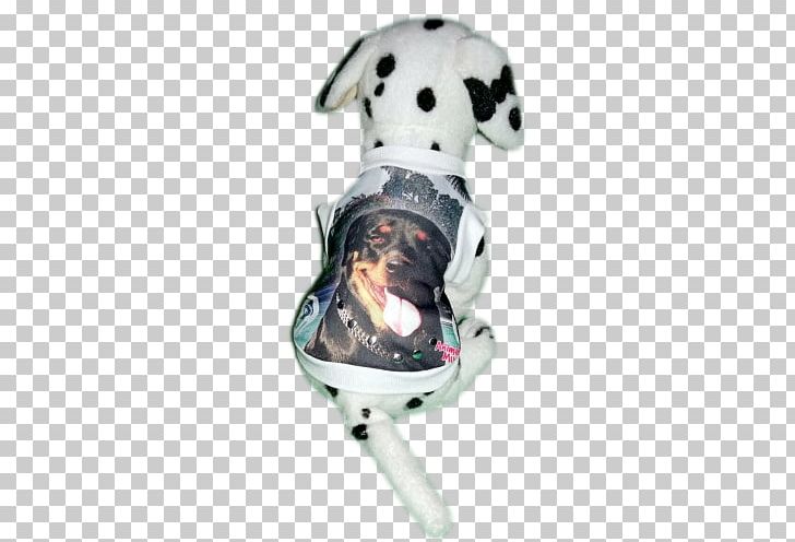 Dalmatian Dog Rottweiler Dog Breed Non-sporting Group Fashion PNG, Clipart, Animal, Breed, Carnivoran, Dalmatian, Dalmatian Dog Free PNG Download