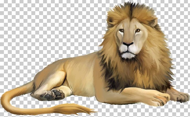 Lion Cartoon Animal Illustration PNG, Clipart, Animal, Animals, Animation, Big Cats, Carnivoran Free PNG Download