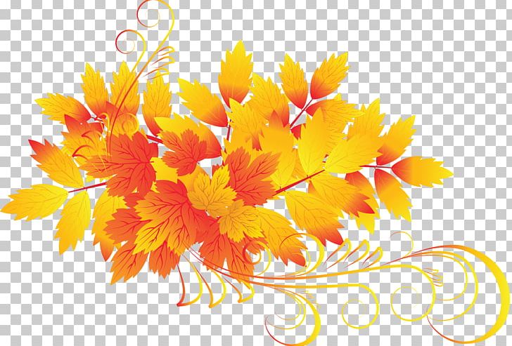 Autumn PNG, Clipart, Autumn, Autumn Leaves, Autumn Tree, Blade, Daisy Family Free PNG Download