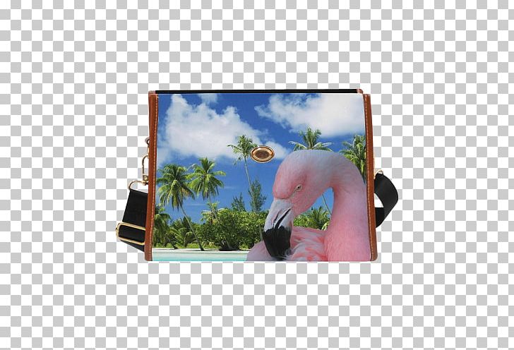 Desktop High-definition Television Display Resolution Beach PNG, Clipart, 4k Resolution, 1080p, Beach, Bird, Computer Free PNG Download