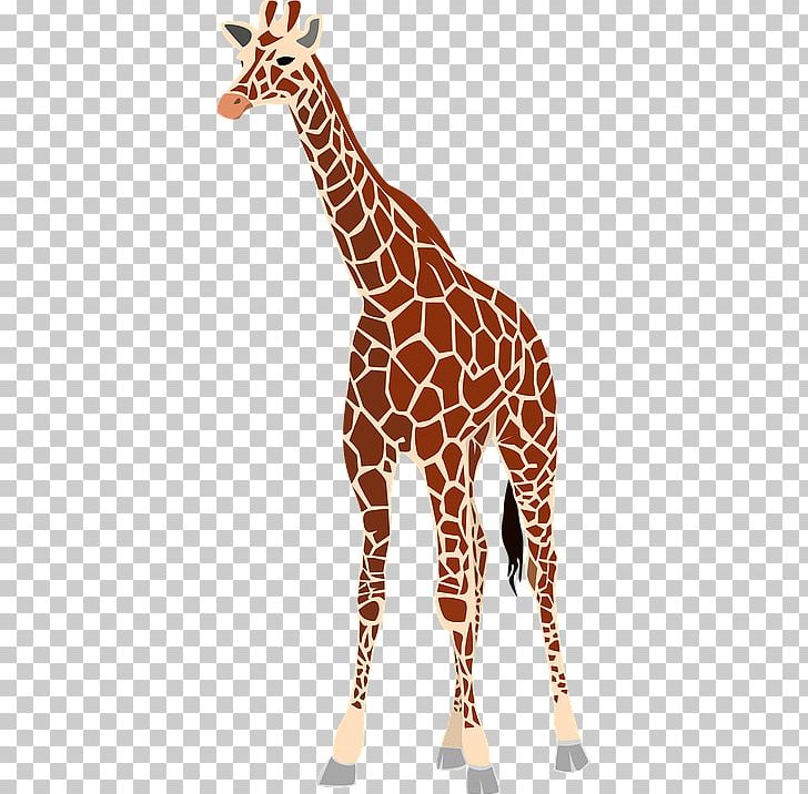 Baby Giraffes Drawing PNG, Clipart, Animal Figure, Baby, Baby Giraffes, Clip Art, Computer Icons Free PNG Download