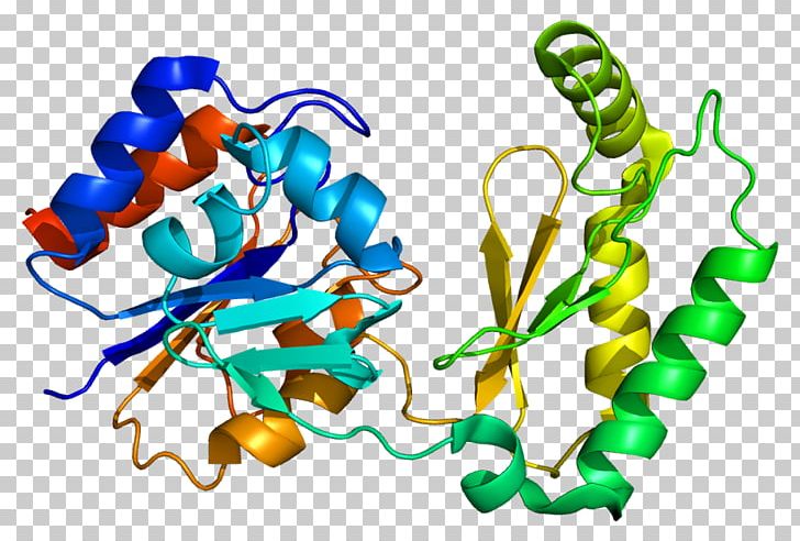 PMM1 Phosphomannomutase Mannose Enzyme Gene PNG, Clipart, Artwork, Enzyme, Enzyme Commission Number, Fuc, Gene Free PNG Download