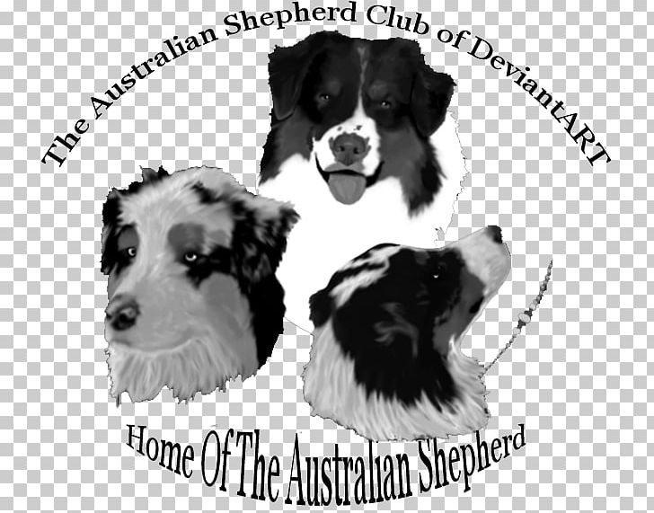 Dog Breed Border Collie Puppy Rough Collie Companion Dog PNG, Clipart, Animals, Black And White, Border Collie, Breed, Carnivoran Free PNG Download