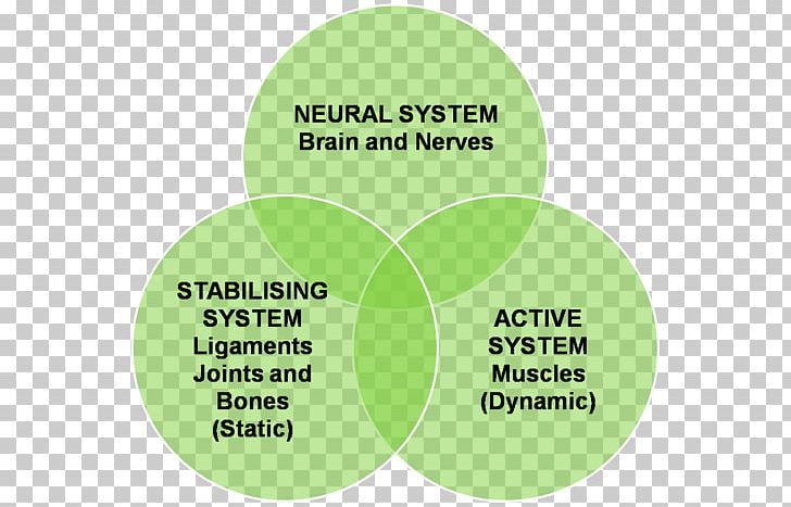 Stretching Physical Therapy Proprioception Sport Joint Stability PNG, Clipart, Brand, Diagram, Goal, Goal Setting, Joint Free PNG Download