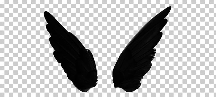 Wing Transparency And Translucency PNG, Clipart, Black And White, Contrast, Desktop Wallpaper, Drawing, Editing Free PNG Download