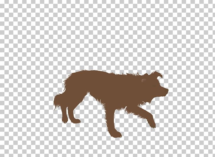 Border Collie Rough Collie Dog Agility Silhouette PNG, Clipart, Agility, Bordercollie, Border Collie, Carnivoran, Cat Free PNG Download
