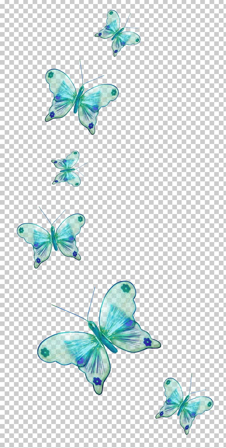 Butterfly Desktop 1080p Display Resolution PNG, Clipart, 1080p, Aqua, Blue, Butterfly, Computer Icons Free PNG Download