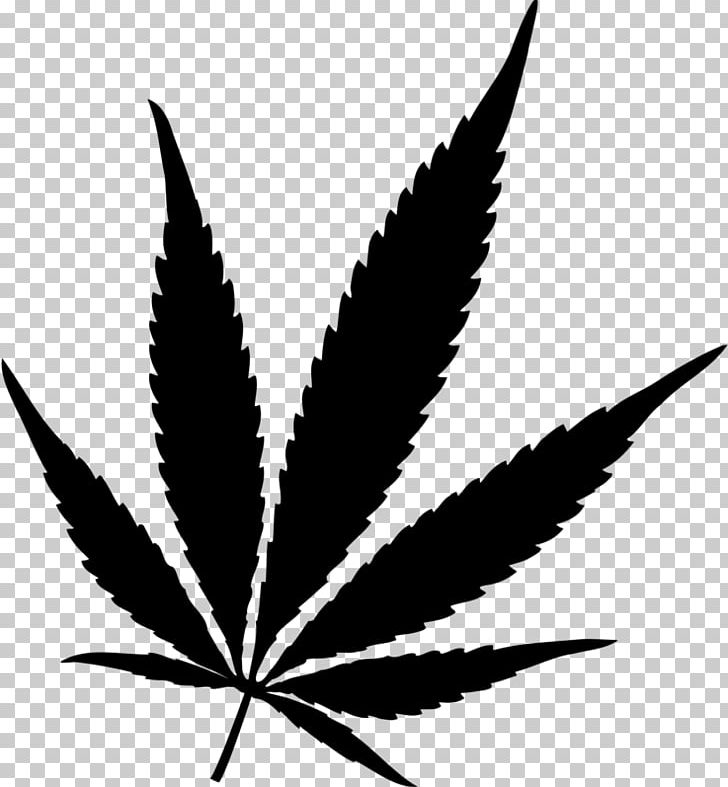 Cannabis Sativa Cannabis Smoking Hash Oil Medical Cannabis PNG, Clipart, 420 Day, Black And White, Cannabis, Cannabis Sativa, Cannabis Smoking Free PNG Download