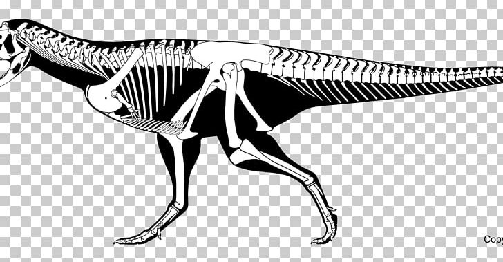 Carnotaurus Aucasaurus Abelisaurus Skorpiovenator Irritator PNG, Clipart, Abelisaur, Abelisauridae, Abelisaurus, Animal Figure, Line Art Free PNG Download