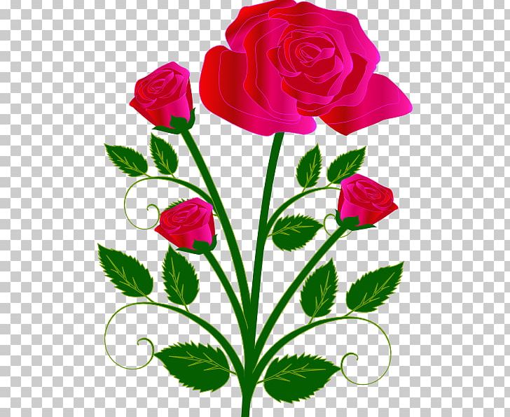 Rose Free Content PNG, Clipart, Annual Plant, Color, Compass Rose, Drawing, Flora Free PNG Download