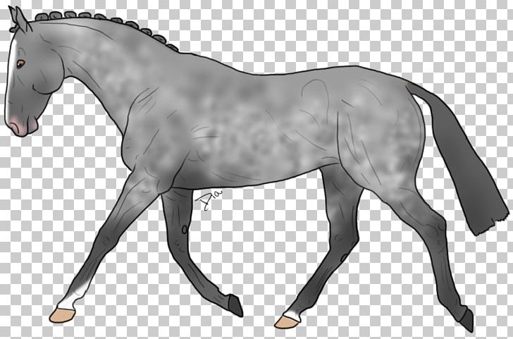 Stallion Warmblood Pony Mane Mustang PNG, Clipart, Animal Figure, Bridle, Colt, Dutch Warmblood, English Riding Free PNG Download