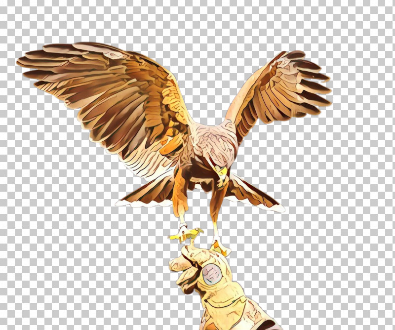 Eagle Wing Golden Eagle Bird Bird Of Prey PNG, Clipart, Angel, Animal Figure, Bird, Bird Of Prey, Eagle Free PNG Download