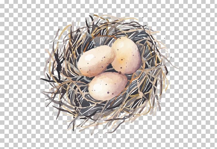 Bird Nest Bird Nest Egg Swallow PNG, Clipart, Animals, Bird, Bird Egg, Bird Nest, Drawing Free PNG Download
