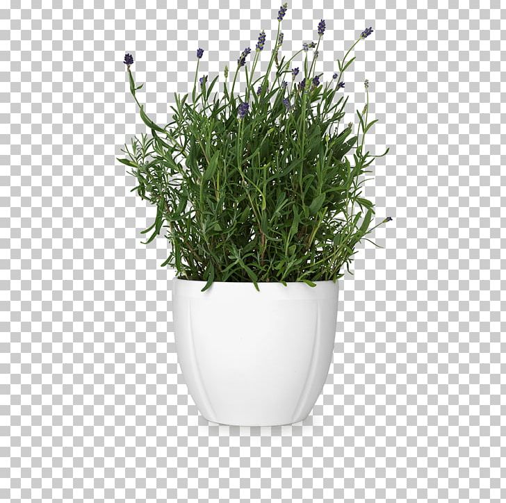 Cachepot Flowerpot Rosendahl International A/S Grand Theatre PNG, Clipart, Arne Jacobsen, Cachepot, Carafe, Ceramic, Earthenware Free PNG Download