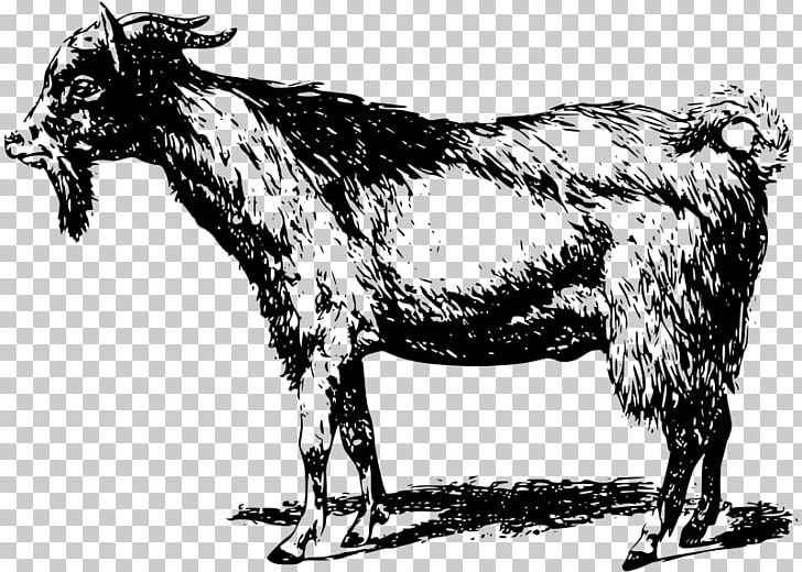 Goat Sheep Pig PNG, Clipart, Animals, Black And White, Cattle Like Mammal, Cow Goat Family, Drawing Free PNG Download