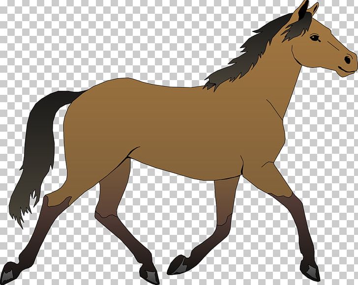 Horse Foal PNG, Clipart, Animal, Animals, Animation, Athletics Running, Black Free PNG Download