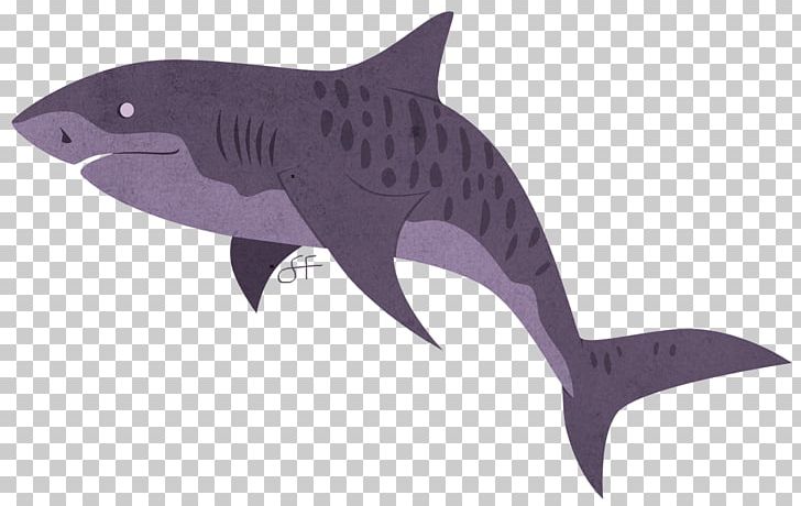 Tiger Shark Marine Biology Requiem Sharks Marine Mammal PNG, Clipart, Biology, Carcharhiniformes, Cartilaginous Fish, Fauna, Fin Free PNG Download