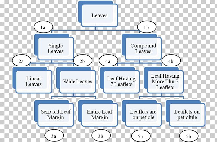 Concept Map 成华区 Brand Business Organization PNG, Clipart, Area, Brand, Business, Chenghua District, Circle Free PNG Download