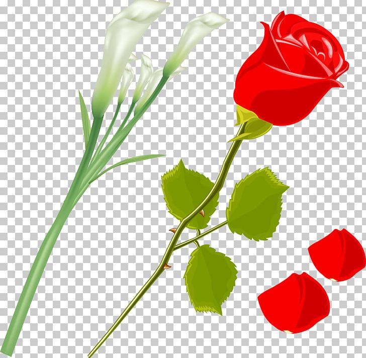 Garden Roses Flower Rosa Gallica PNG, Clipart, Bud, Clip Art, Cut Flowers, Flora, Floral Design Free PNG Download