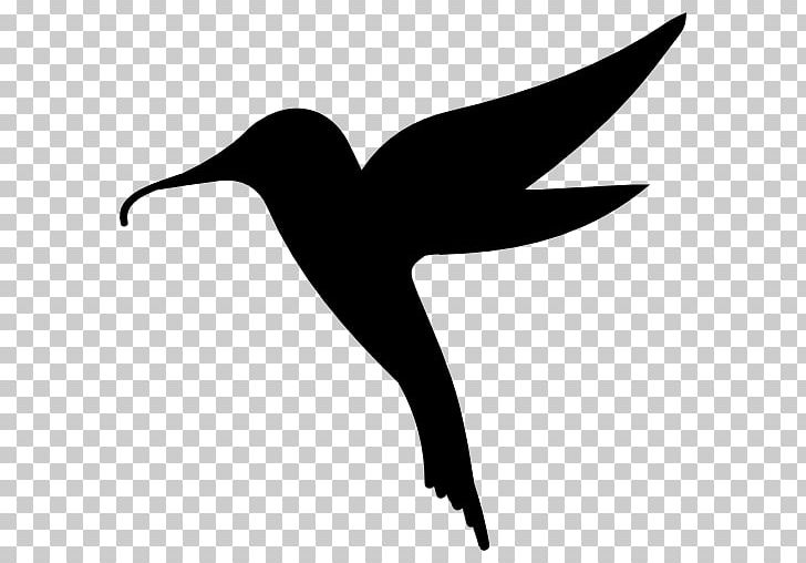 Hummingbird Computer Icons Light Horse PNG, Clipart, Animal, Artwork, Beak, Bird, Black And White Free PNG Download