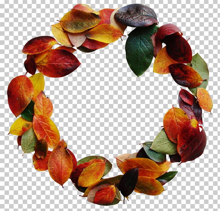 Maple Leaf Autumn PNG, Clipart, Autumn, Basket, Cage, Jewellery, Leaf Free PNG Download