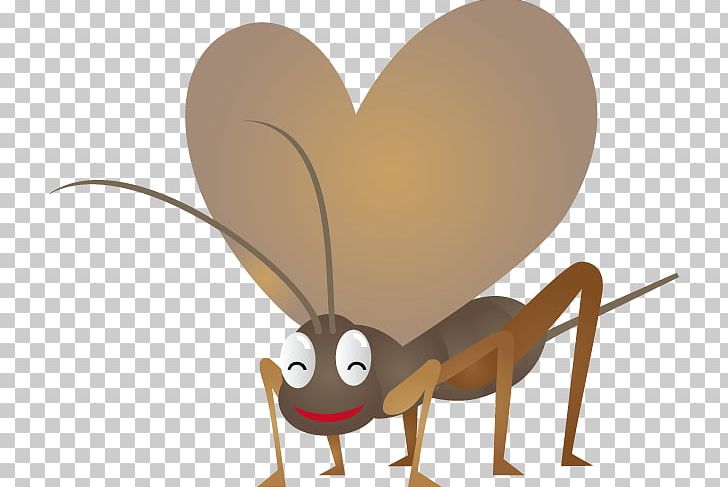 Meloimorpha Japonicus Insect Cartoon PNG, Clipart, Butterfly, Cartoon, Cricket Insect, Download, Heart Free PNG Download