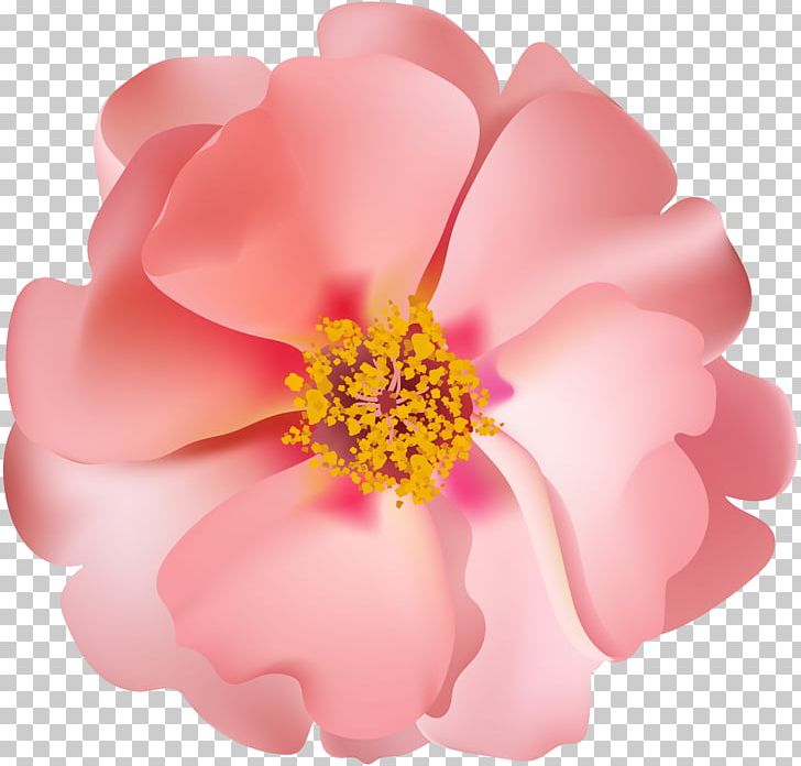 Rose Desktop PNG, Clipart, Desktop Wallpaper, Diagram, Easter Basket, Flower, Flowering Plant Free PNG Download