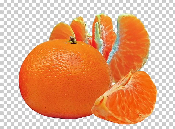 Cocktail Orange Juice Fruit Mandarina PNG, Clipart, Apple, Bitter Orange, Chenpi, Citric Acid, Citrus Free PNG Download
