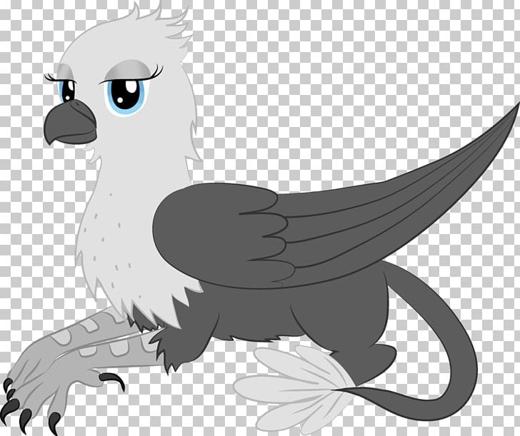 Griffin Owl Rainbow Dash Drawing PNG, Clipart, Beak, Bird, Bird Of Prey, Black And White, Cartoon Free PNG Download