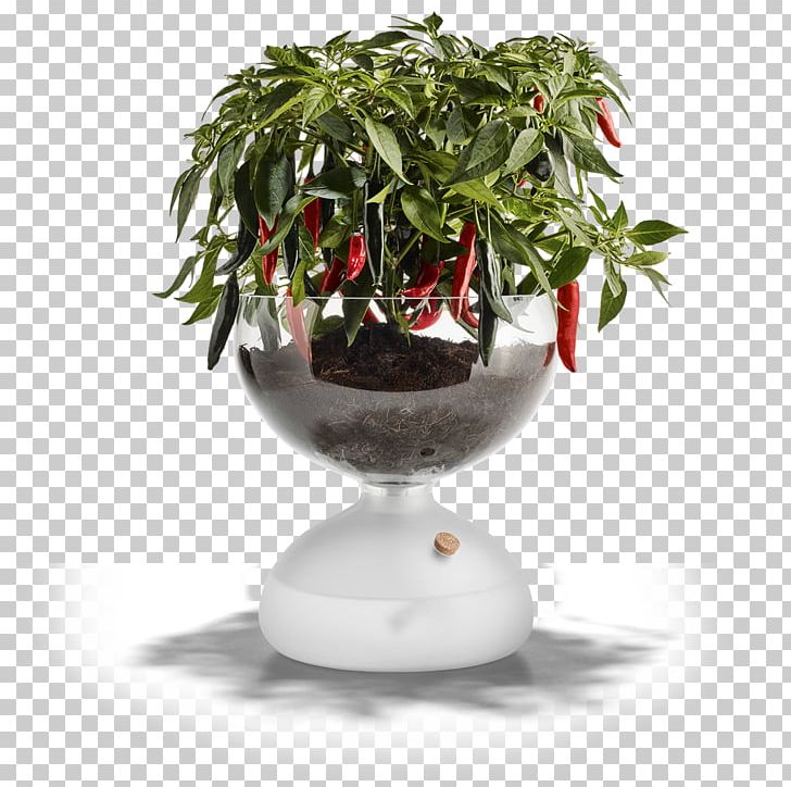 Holmegaard Frosted Glass Flowerpot Greenhouse PNG, Clipart, 5 Cm, Andis Barber Combo 66325, Bowl, Candlestick, Flowerpot Free PNG Download
