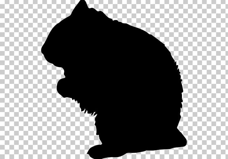 Whiskers Amaxac De Guerrero Acuamanala De Miguel Hidalgo La Magdalena Tlaltelulco Atlangatepec PNG, Clipart, Apizaco, Bear, Black, Black And White, Carnivoran Free PNG Download