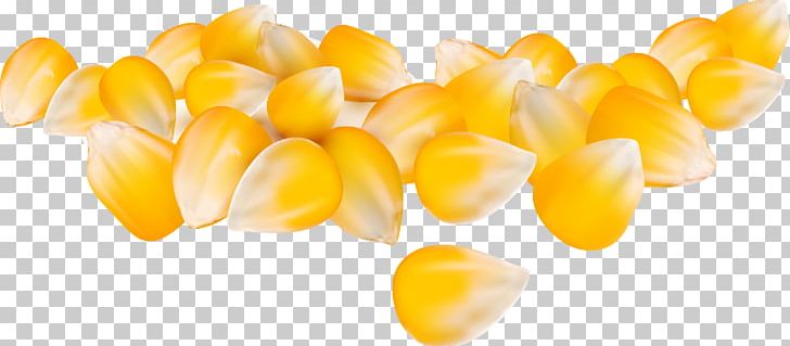 Maize Corn Kernel Caryopsis PNG, Clipart, Animation, Balloon Cartoon, Boy Cartoon, Cartoon, Cartoon Alien Free PNG Download
