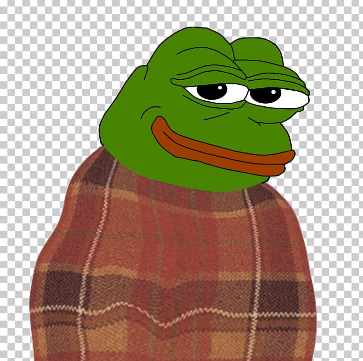 Pepe The Frog 4chan /pol/ Internet Meme PNG, Clipart, 4chan, Amphibian, Anonymous, Blanket, Fictional Character Free PNG Download