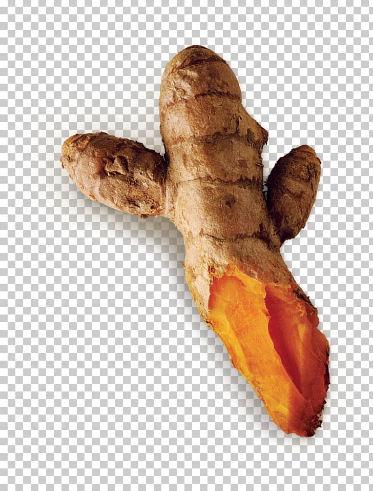 Galangal PNG, Clipart, Galangal, Miscellaneous, Others, Starch, Turmeric Free PNG Download