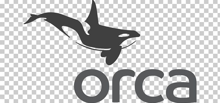 Logo Killer Whale Graphics Graphic Design Business PNG, Clipart, Artwork, Beak, Bird, Black And White, Brand Free PNG Download