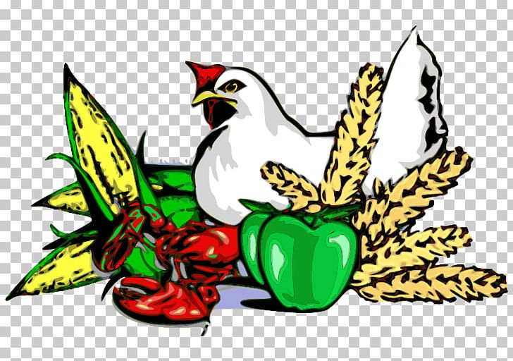 Agriculture Zamboanga City Computer Icons Internet Media Type PNG, Clipart, Agriculture, Art, Artwork, Beak, Bird Free PNG Download