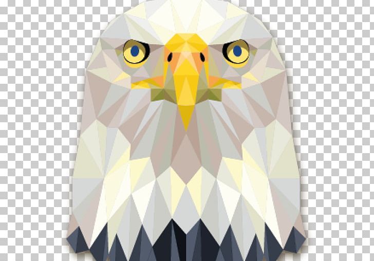 Bald Eagle Geometry PNG, Clipart, Animal, Animals, Bald Eagle, Beak, Bird Free PNG Download