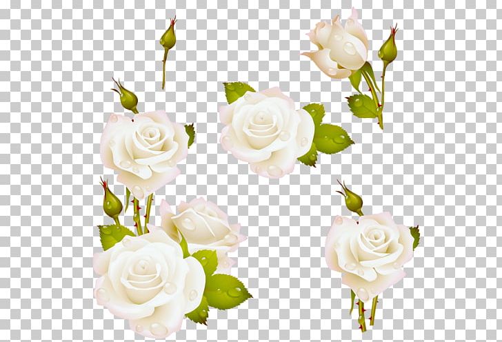 Blessing Good Morning Quotation Happiness PNG, Clipart, Artificial Flower, Cut Flowers, Day, Feeling, Floribunda Free PNG Download