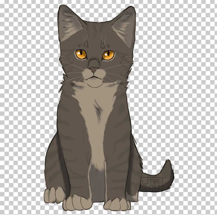 Kitten Korat American Wirehair Tabby Cat Whiskers PNG, Clipart, American Wirehair, Animals, Art, Avatan, Avatan Plus Free PNG Download