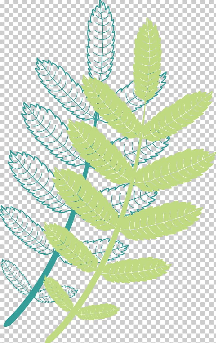 Leaf Plant Stem Pattern PNG, Clipart, Autumn Leaves, Banana Leaves, Branch, Fall Leaves, Leaf Free PNG Download