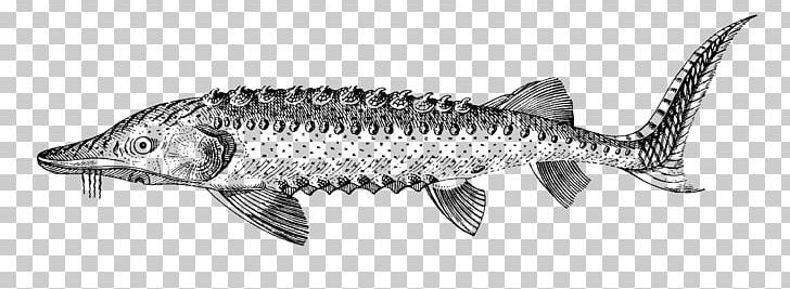 Mackerel Oily Fish Line Art White PNG, Clipart, Animal Figure, Animals, Art White, Artwork, Black And White Free PNG Download