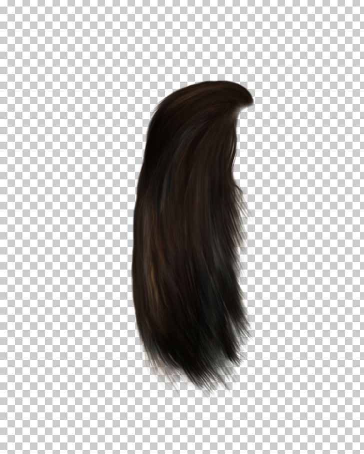 Black Hair Hair Coloring Brown Hair Long Hair PNG, Clipart, Black, Black Hair, Brown, Brown Hair, Color Free PNG Download