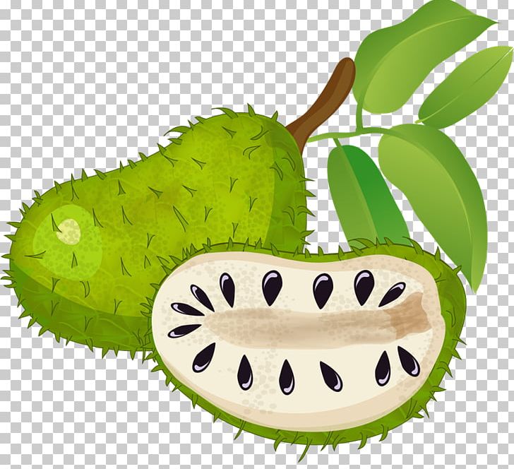 Green Tea Matcha Soursop Sugar Apple PNG, Clipart, Annona, Flavor, Food, Food Drinks, Fruit Free PNG Download